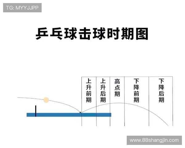 乒乓球比赛中常用术语及其含义解析